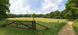 Vente
AUDE DOMAINE 170 HA LAC GÎTES