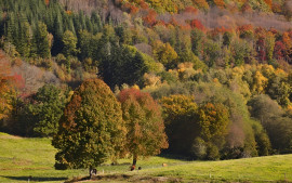 Vente
AUDE DOMAINE 170 HA LAC GÎTES