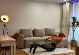
                                                                                        Location
                                                                                         Beau 2P meublé à neuf 58m² lumineux et confortable