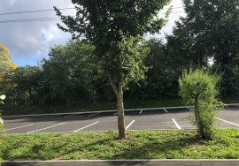 
                                                                                        Location
                                                                                         Beau T1 meublé 21m² au calme