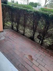 
                                                                                        Location
                                                                                         Beau T3 66 m² rénové Rotonde