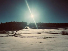 
                                                                                        Location
                                                                                         Bel appartement rénové avec goût T3