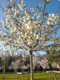 
                                                                                        Colocation
                                                                                         Belle chambre de colocation à 35 min de Paris
