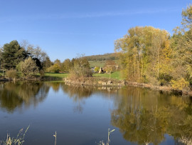 Vente
Belle maison avec gîte sur 4 hectares de terrain