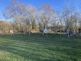
                                                                                        Vente
                                                                                         cabanon en dur 40 m² sur 2000 m²