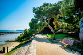 
                                                                                        Vente
                                                                                         CAP FERRET RESIDENCE HOTELIERE 5* FACE A L’OCEAN