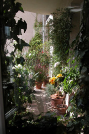 
                                                                                        Location
                                                                                         CHAMBRE A LOUER AU CALME AU CENTRE DE PARIS