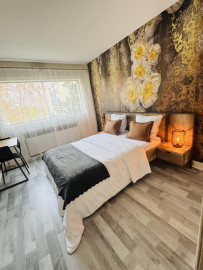 
                                                                                        Colocation
                                                                                         Chambre privée dans une magnifique Colocation !