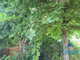 
                                                                                        Vente
                                                                                         Charmant 3 pièces avec jardin de 100 m² – Proche gare de Vir