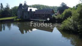 
                                                                                        Vente
                                                                                         Demeure historique du 13ème siècle, SAINT-LO (50000), caract
