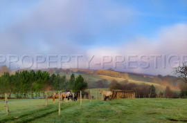 Vente
GERS PROPRIETE XVIIéme 43 HA ETANGS SOURCES