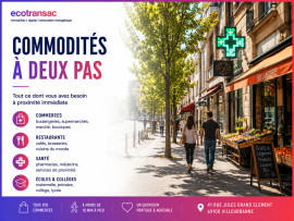 
                                                                                        Vente
                                                                                         Grand Appartement lumineux et traversant - Grand Clement