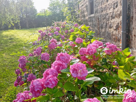 
                                                                                        Vente
                                                                                         Grande maison familiale de caractère