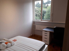 
                                                                                        Colocation
                                                                                         Idéal colocation étudiante saint Étienne