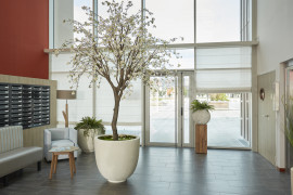 
                                                                                        Vente
                                                                                         Investissement Résidence séniors – DINAN LMNP