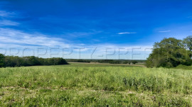 
                                                                                        Vente
                                                                                         LANDES DOMAINE 57 ha ETANGS