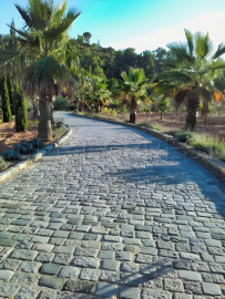 Vente
LITTORAL VAROIS PROPRIETE DE STANDING OLIVERAIE 8 HA