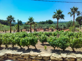 Vente
LITTORAL VAROIS PROPRIETE DE STANDING OLIVERAIE 8 HA