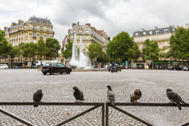 
                                                                                        Location
                                                                                         Location Bureaux Paris 75016