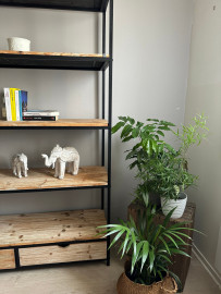 Location
Location studio meublé (loyer tout inclus)