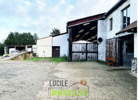 Vente
                                                                                Lot de 6 biens à aménager