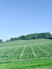Vente
Maison 4 chambres et vue panoramique – Monbazillac