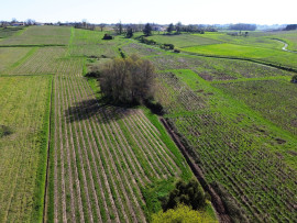 
                                                                                        Vente
                                                                                         Maison 6 pièces