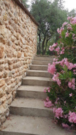 
                                                                                        Location
                                                                                         Maison à louer vue magnifique