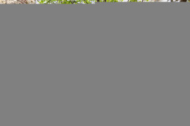 
                                                                                        Colocation
                                                                                         Maison - Chambre 13m² - Issy-les-Moulineaux - 999€/mois CC