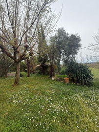 
                                                                                        Vente
                                                                                         MAISON CONTEMPORAINE