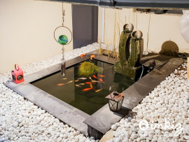 
                                                                                        Vente
                                                                                         Maison d'architecte 13 pces ,2 log.ou unifamiliale