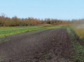 
                                                                                        Vente
                                                                                         Maison de 85m2 sur un hectare de terrain