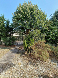 
                                                                                        Location
                                                                                         Maison meublée à louer – Blanquefort