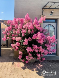 
                                                                                        Vente
                                                                                         Maison où se poser et profiter !