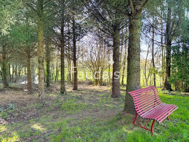 
                                                                                        Vente
                                                                                         MAISON PLAIN PIED SUR UN HECTARE AVEC ETANG ET BOIS