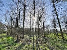 
                                                                                        Vente
                                                                                         MAISON PLAIN PIED SUR UN HECTARE AVEC ETANG ET BOIS