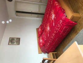 
                                                                                        Colocation
                                                                                         Maison tranquille  quartier calme