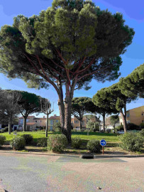 
                                                                                        Vente
                                                                                         Mazet 3 pièces 44 m2 avec 2 terrasses La Londe Les Maures