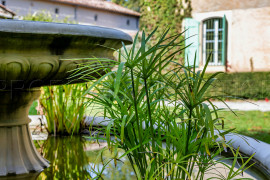 
                                                                                        Vente
                                                                                         OCCITANIE DOMAINE MARIAGES EVENEMENTIEL 2,8 HA