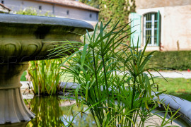 
                                                                                        Vente
                                                                                         OCCITANIE DOMAINE MARIAGES EVENEMENTIEL 2,8 HA