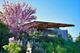 
                                                                                        Vente
                                                                                         PAYS DE LODEVE DOMAINE D'EXCEPTION 30 HA