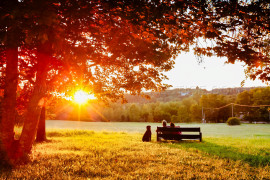 
                                                                                        Vente
                                                                                         PERIGORD DOMAINE AVEC PRL 24 HA MARIAGES