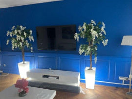 
                                                                                        Location
                                                                                         PETIT APPARTEMENT DE STANDING