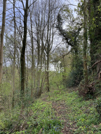 
                                                                                        Vente
                                                                                         petit bois AGNEAUX proche Mairie