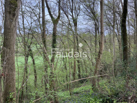 
                                                                                        Vente
                                                                                         petit bois AGNEAUX proche Mairie