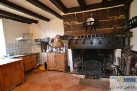 Vente
SECT LANGOIRAN PROPRIETE 10 PIECES SUR 5910 M2