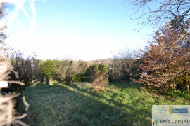 Vente
SECT LANGOIRAN PROPRIETE 10 PIECES SUR 5910 M2