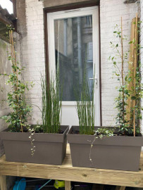 
                                                                                        Location
                                                                                         Studio de 19m² entièrement rénové à neuf et meublé