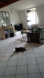 
                                                                                        Location
                                                                                         Superbe studio 42 m² (dont 14 m² mezzanine)