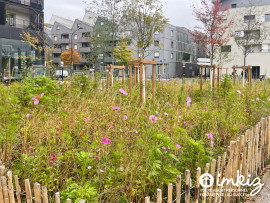 
                                                                                        Vente
                                                                                         T 1 bis excellent investissement comme neuf